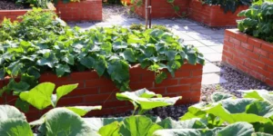 What Are the Benefits of Raised Garden Beds?