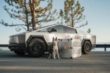 How Do You Pick the Right Dog Crate for Travel?