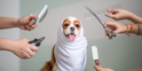 The Ultimate Guide to Dog Grooming Supplies