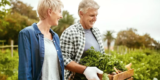 Seasonal Pruning Tips for Healthier Gardens