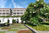 What Are the Best Trees for Small Outdoor Spaces?
